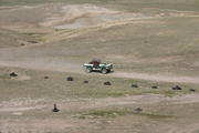 IMG 3296