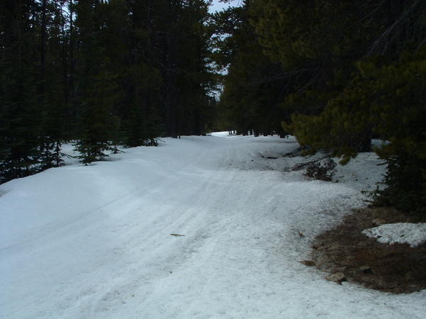 DSCF0088