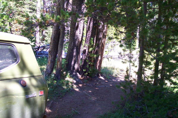The narrow path