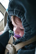 IMG_7183.jpg
