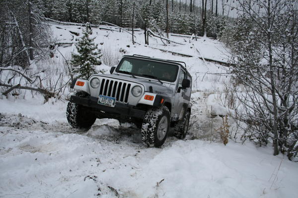 IMG_7203_003.jpg