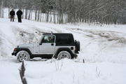 IMG_7254.jpg