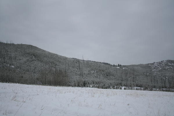 IMG_7315.jpg