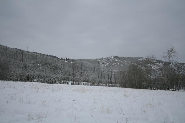 IMG_7316_001.jpg