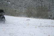 IMG_7340.jpg