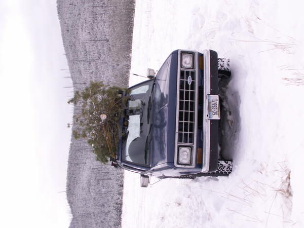 PICT0019