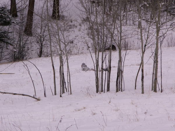 PICT0049