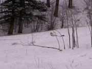 PICT0050