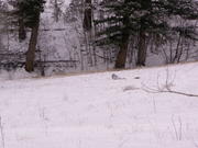PICT0051