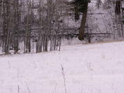 PICT0053
