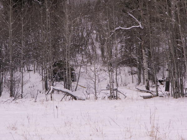 PICT0054