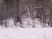PICT0055