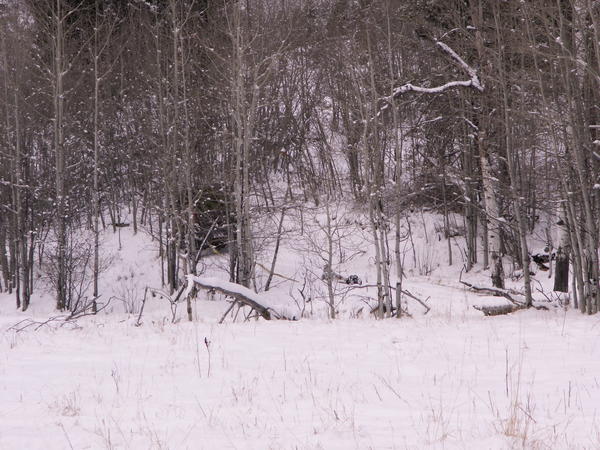 PICT0055