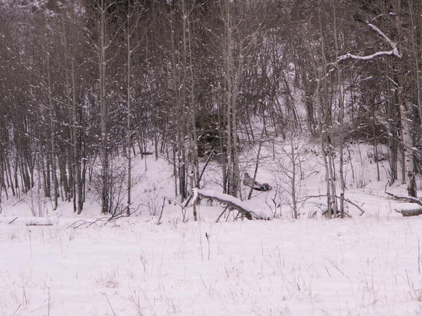 PICT0057