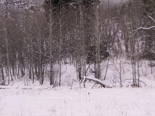 PICT0059