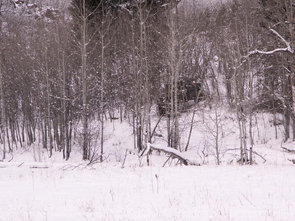 PICT0060