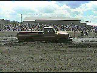 mudbog13