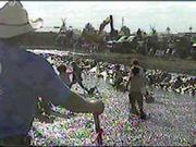 mudbog43