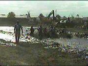 mudbog49