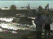 mudbog52