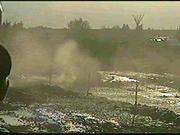 mudbog75