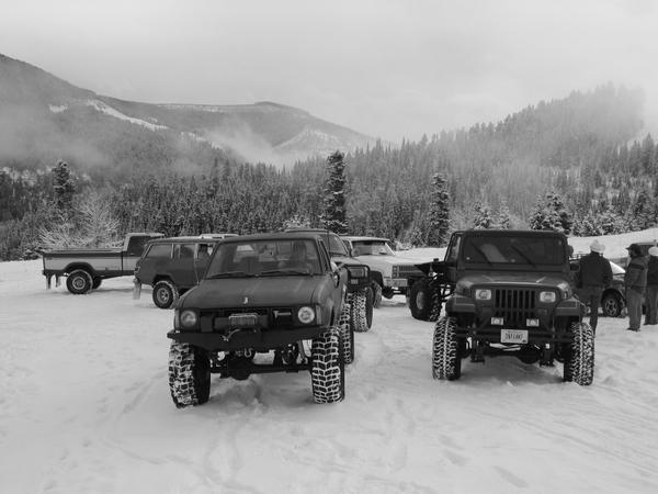 mount-tree-run-20030003