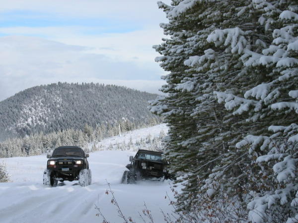 mount-tree-run-20030005