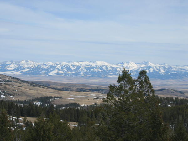 MISC_0037_001.jpg