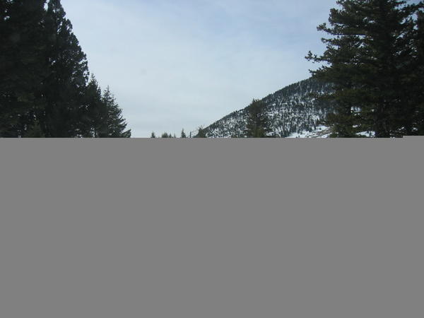 MISC_0040_001.jpg
