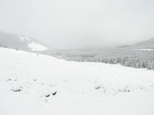 North Meadow 5 23 2004 010