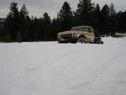 Trail ride Jan 05 010