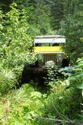 Frank crossing  creek