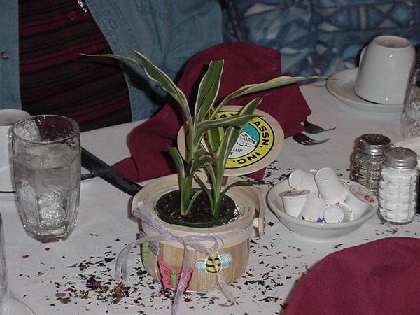 DSC00991