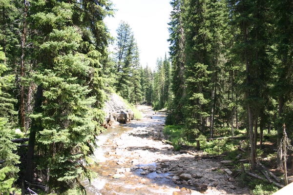 IMG_3502.JPG