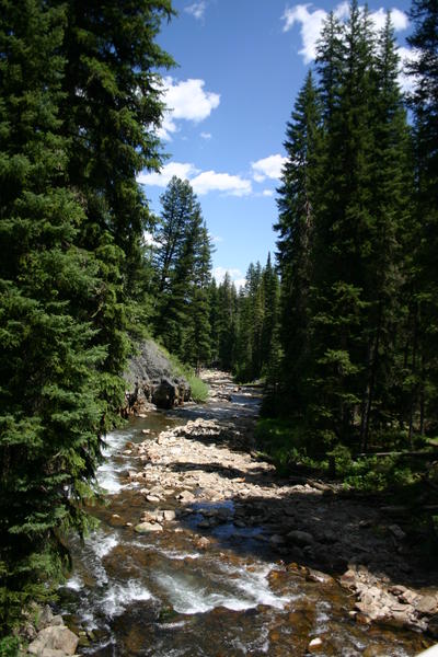 IMG_3503.JPG