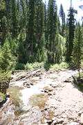 IMG_3505.JPG