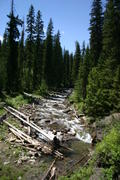 IMG_3506.JPG