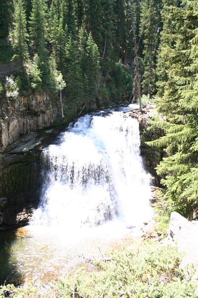 IMG_3515.JPG