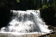 IMG_3522.JPG
