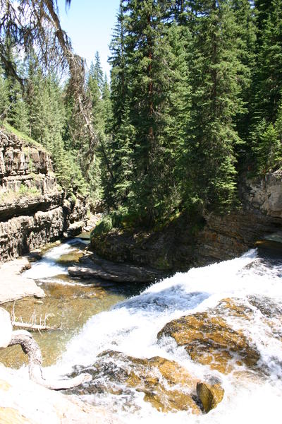IMG_3528.JPG