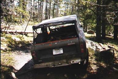 rear_cheep_rock
