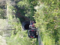 Picture 059