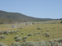 Picture 003