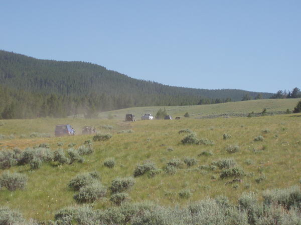 Picture 003