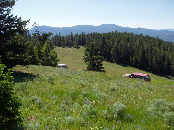 Picture 004