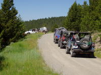 Picture 005