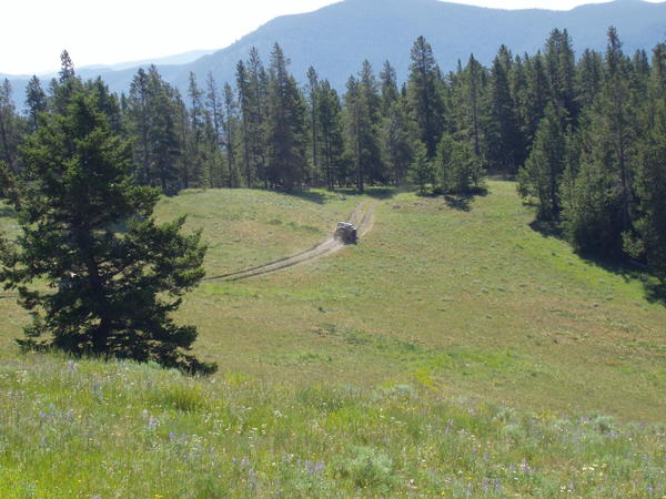 Picture 006