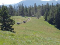 Picture 007