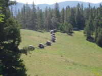 Picture 008