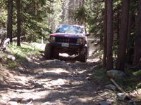 Picture 009